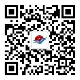 柳叶a-03.png