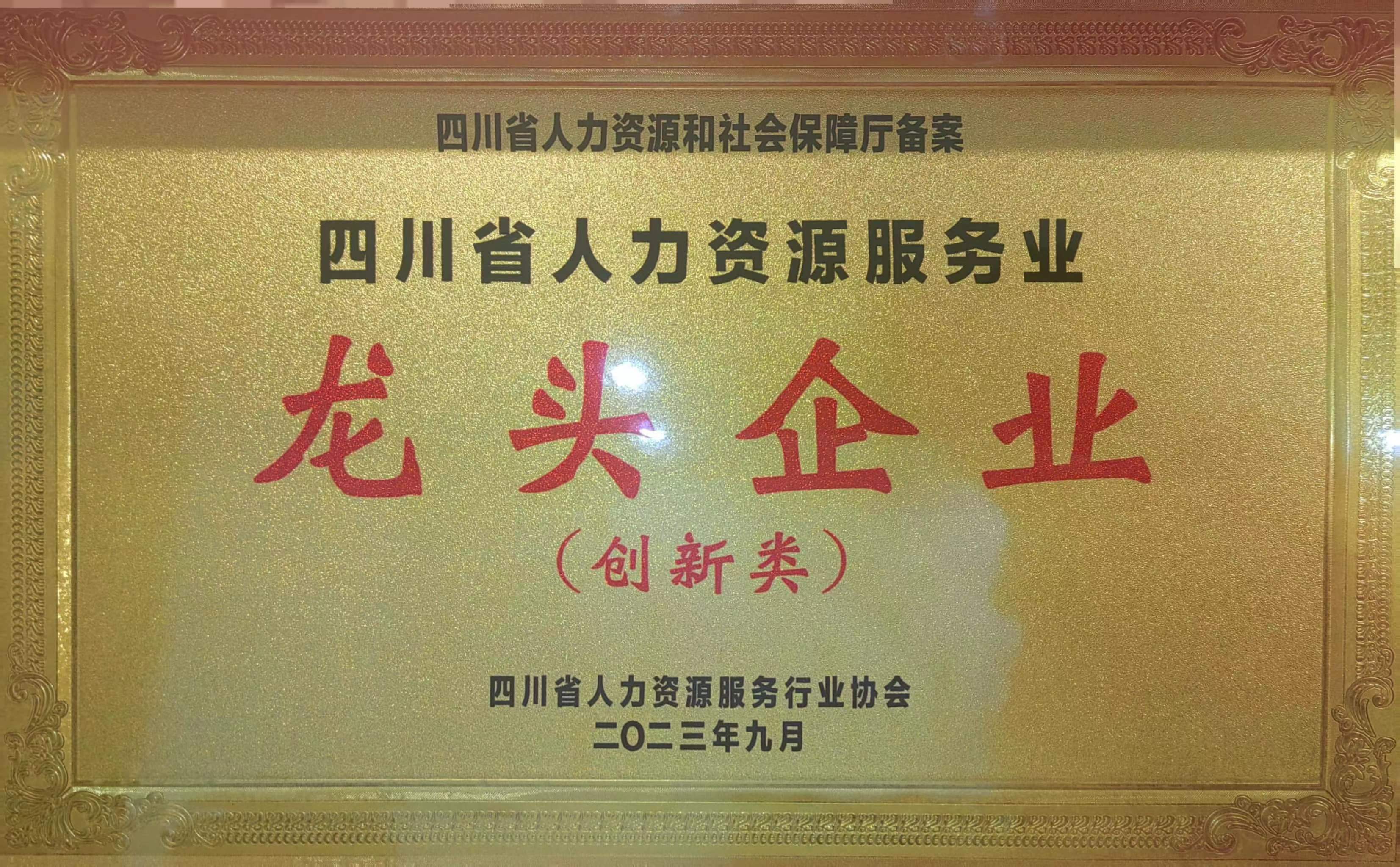 四川省人力资源服务业龙头企业（创新类）