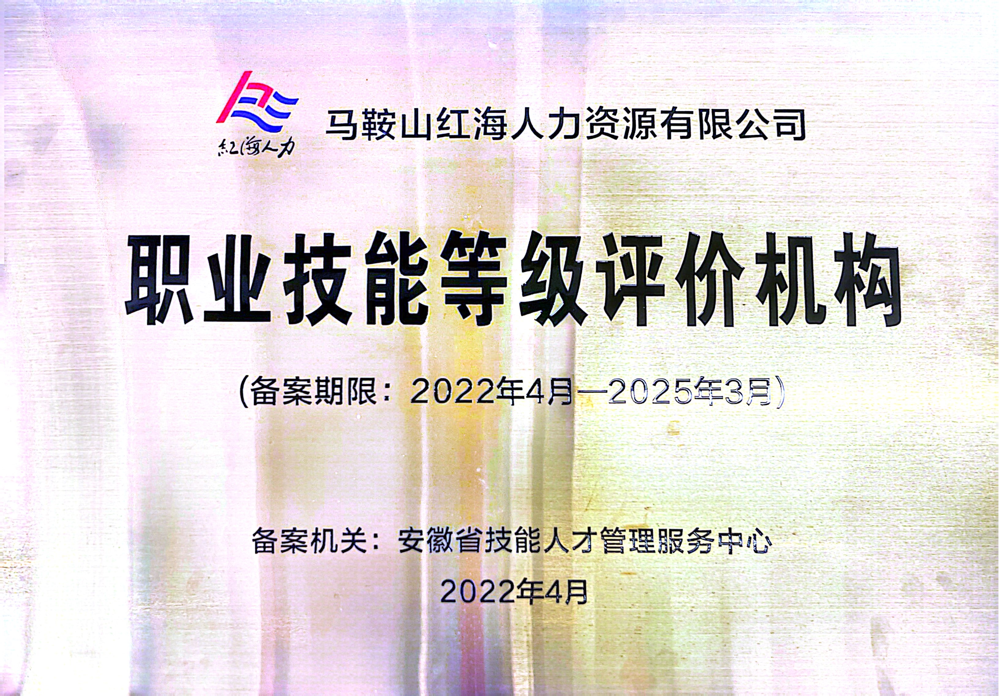 职业技能等级