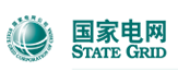 国网