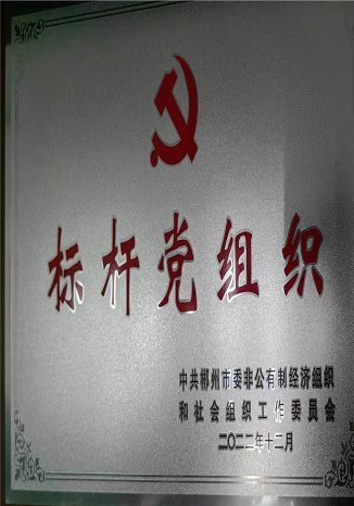 标杆党组织