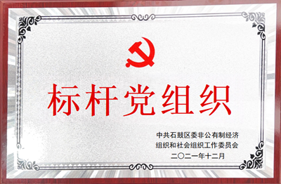 2021年石鼓区标杆党支部