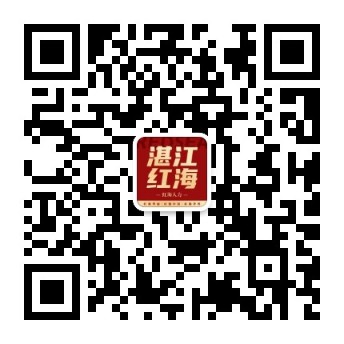公众号